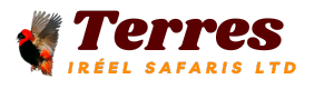 Terres Iréel Safaris